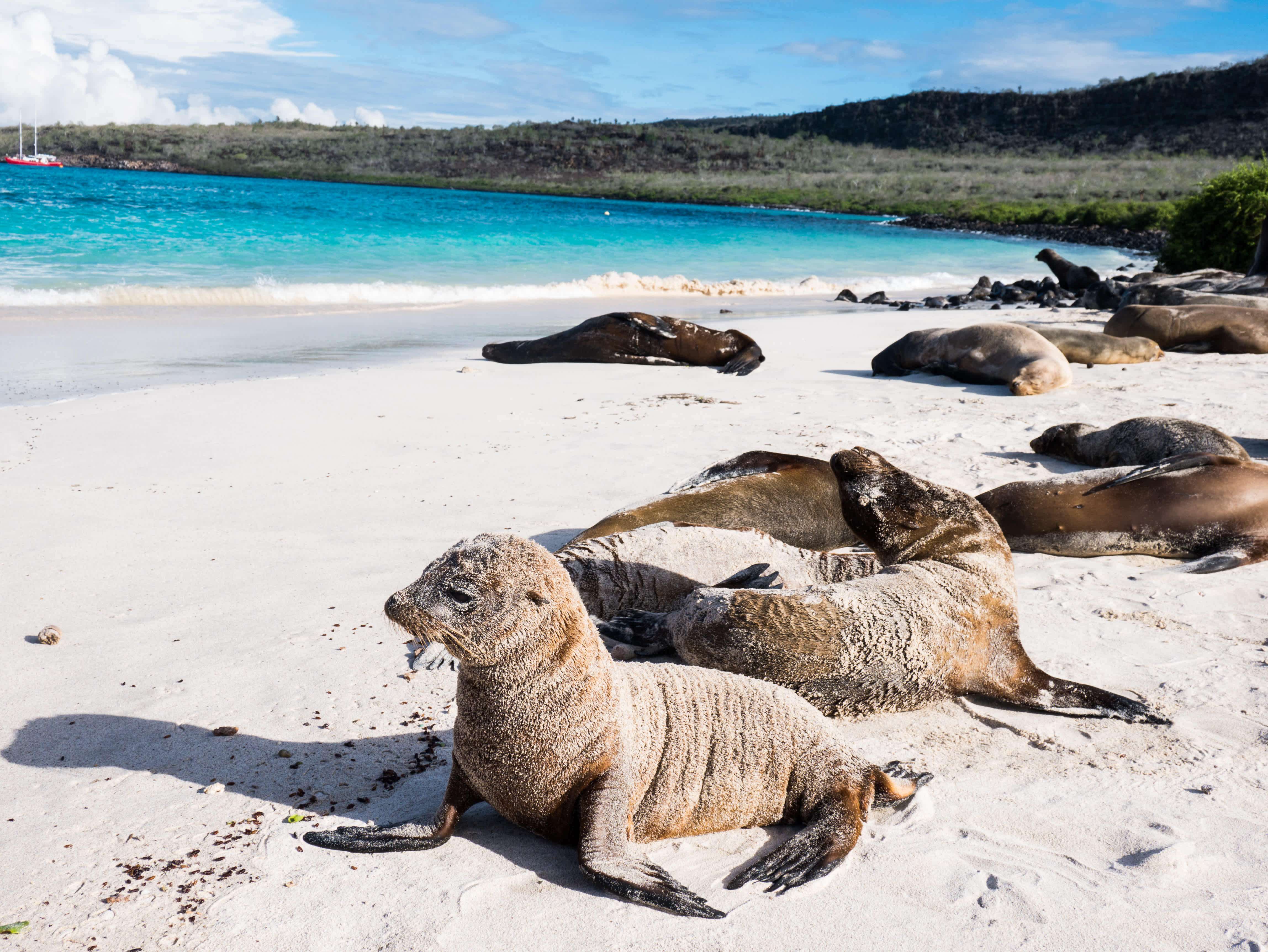 yachting galapagos sa